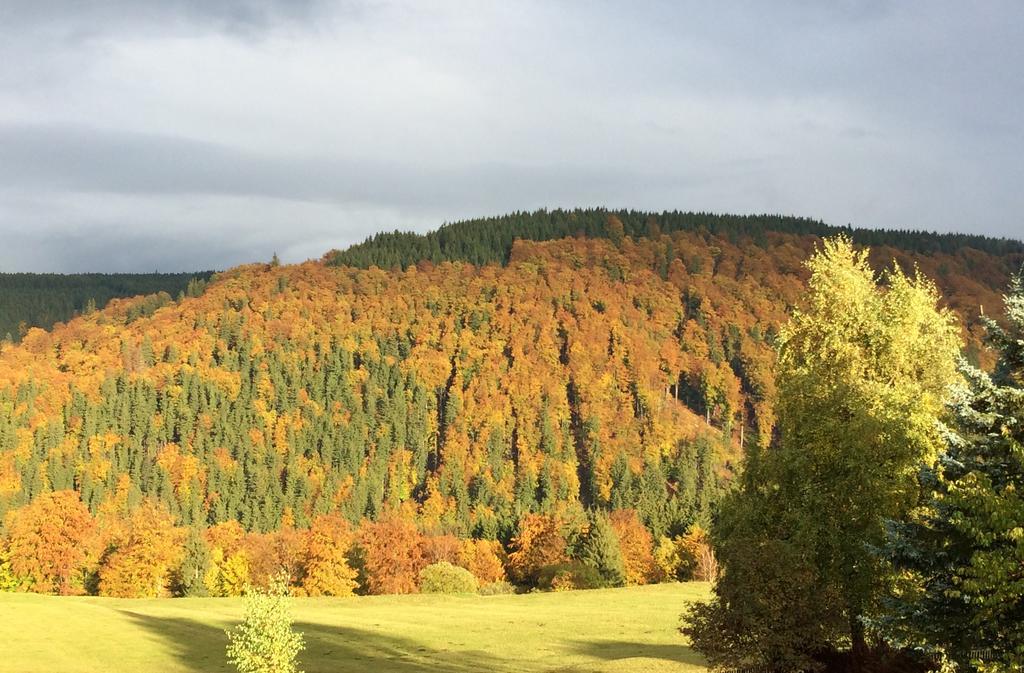 Ferienwohnungen Gehlberg Extérieur photo